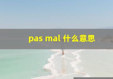 pas mal 什么意思